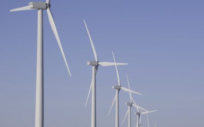 Will your financial firm be Net Zero Carbon ready by 2050?